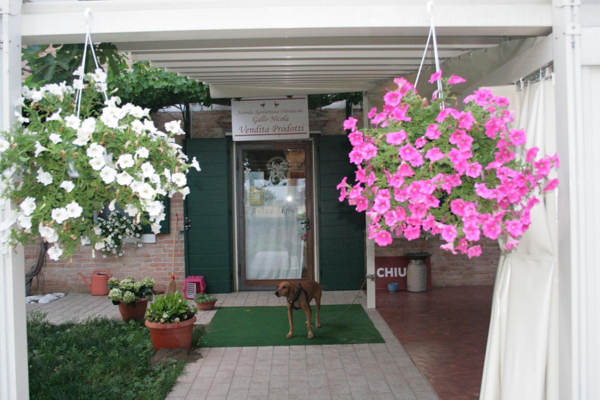 Locanda Antico Figher Villa Musile di Piave Exterior foto